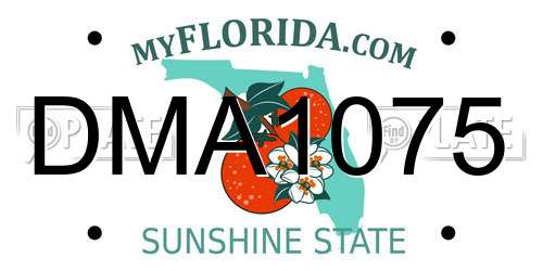 DMA1075 Florida License Plate