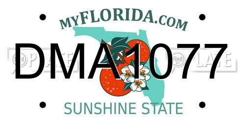 DMA1077 Florida License Plate