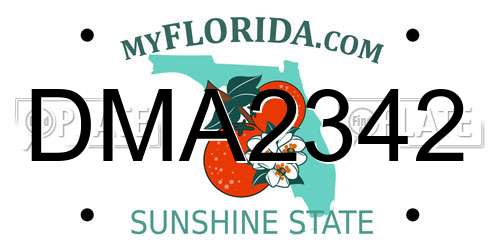 DMA2342 Florida License Plate