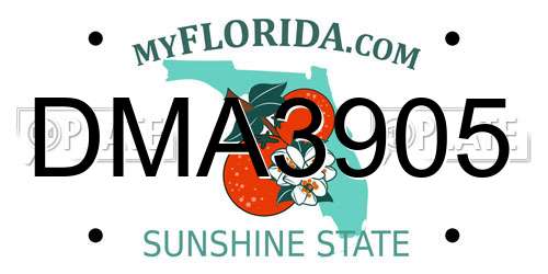 DMA3905 Florida License Plate