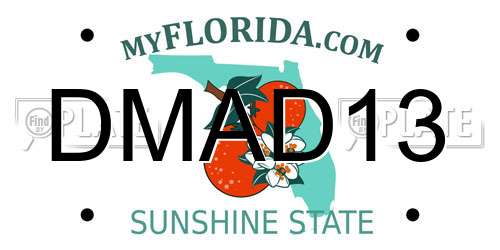 DMAD13 Florida License Plate
