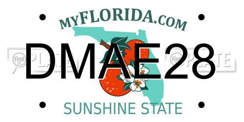 DMAE28 Florida License Plate