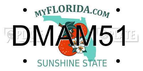 DMAM51 Florida License Plate