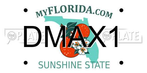 DMAX1 Florida License Plate