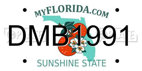 DMB1991 Florida License Plate