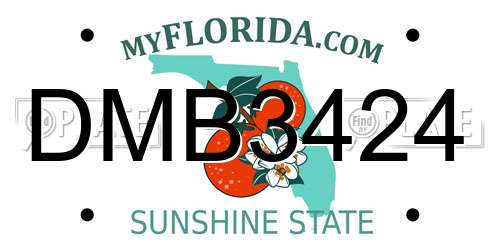 DMB3424 Florida License Plate