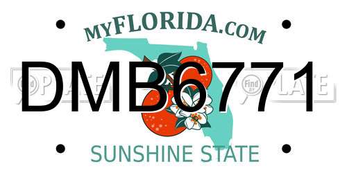 DMB6771 Florida License Plate