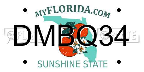 DMBQ34 Florida License Plate
