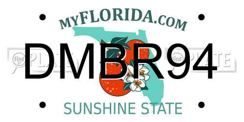DMBR94 Florida License Plate