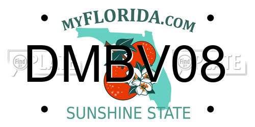 DMBV08 Florida License Plate
