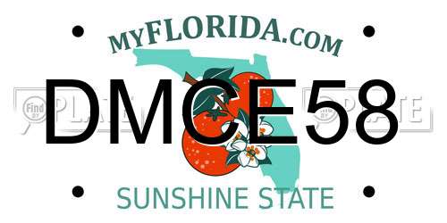 DMCE58 Florida License Plate
