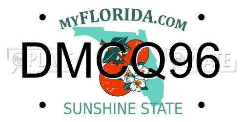 DMCQ96 Florida License Plate