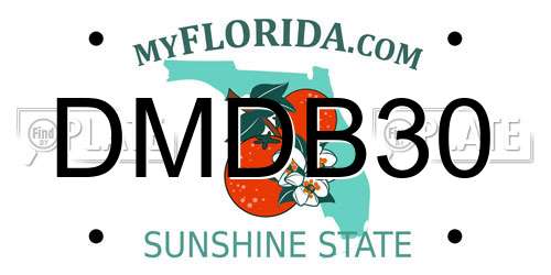DMDB30 Florida License Plate