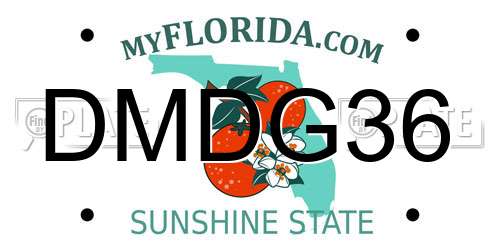 DMDG36 Florida License Plate