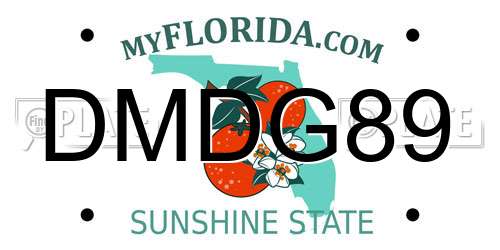 DMDG89 Florida License Plate