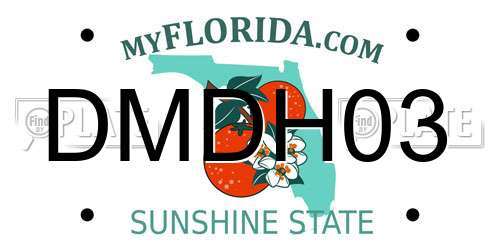 DMDH03 Florida License Plate