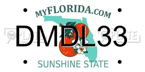 DMDL33 Florida License Plate