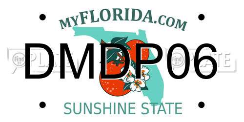 DMDP06 Florida License Plate