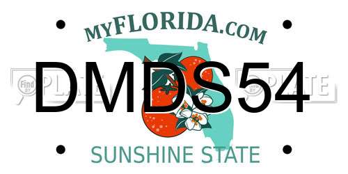 DMDS54 Florida License Plate