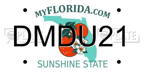 DMDU21 Florida License Plate