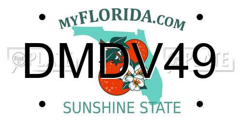 DMDV49 Florida License Plate
