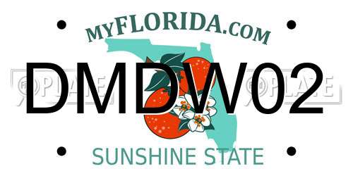 DMDW02 Florida License Plate