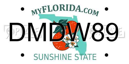 DMDW89 Florida License Plate