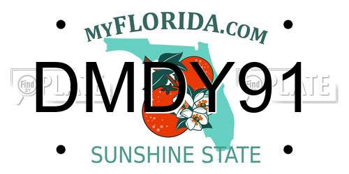 DMDY91 Florida License Plate