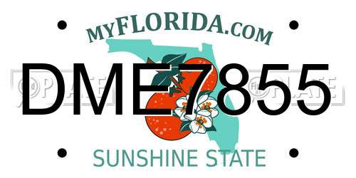 DME7855 Florida License Plate