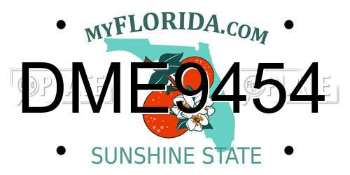 DME9454 Florida License Plate