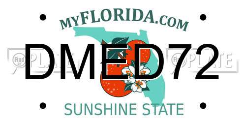 DMED72 Florida License Plate