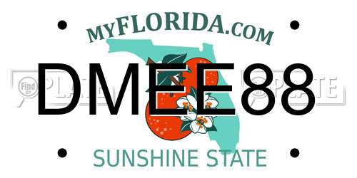 DMEE88 Florida License Plate