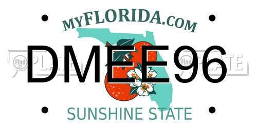 DMEE96 Florida License Plate