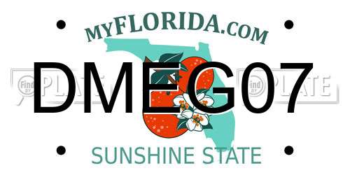 DMEG07 Florida License Plate