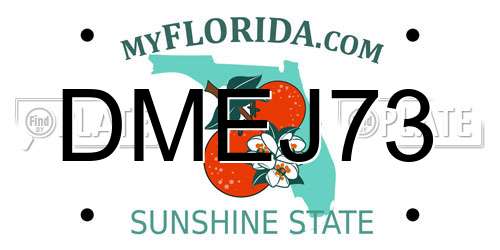 DMEJ73 Florida License Plate