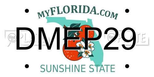 DMEP29 Florida License Plate