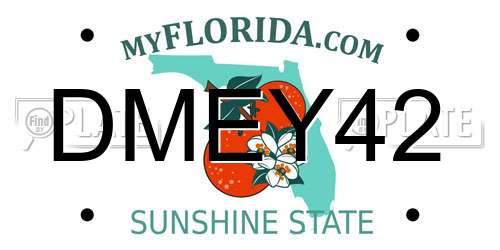 DMEY42 Florida License Plate