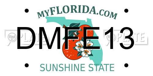 DMFE13 Florida License Plate