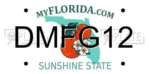 DMFG12 Florida License Plate
