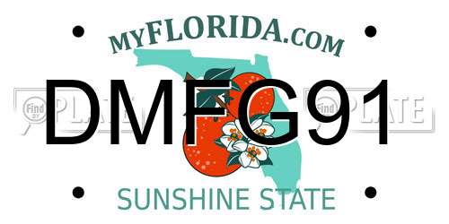 DMFG91 Florida License Plate