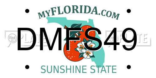 DMFS49 Florida License Plate