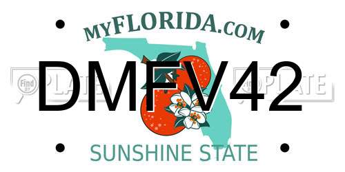 DMFV42 Florida License Plate