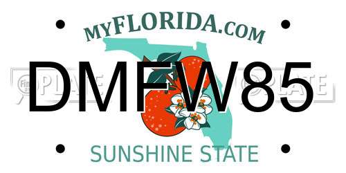 DMFW85 Florida License Plate