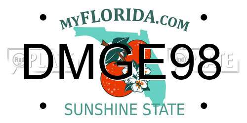 DMGE98 Florida License Plate