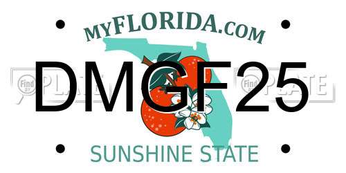 DMGF25 Florida License Plate
