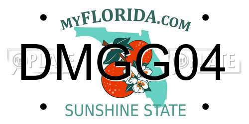DMGG04 Florida License Plate