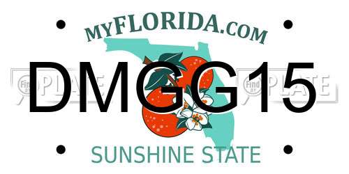 DMGG15 Florida License Plate