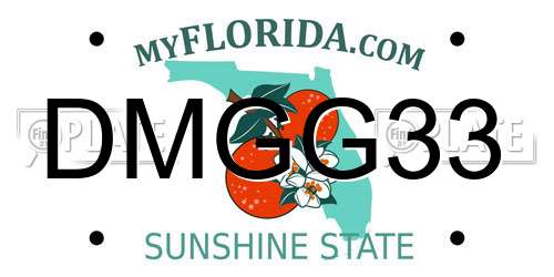DMGG33 Florida License Plate