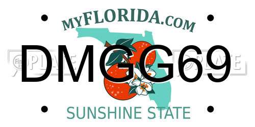DMGG69 Florida License Plate