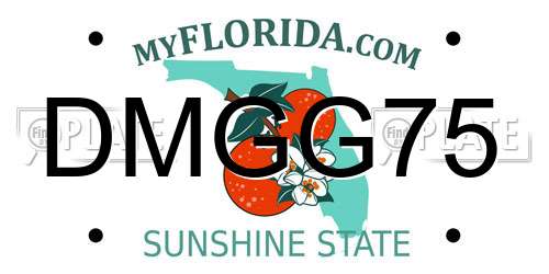 DMGG75 Florida License Plate